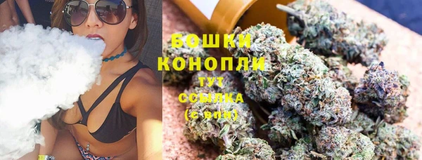 PSILOCYBIN Алексеевка