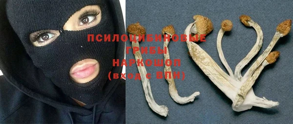 a pvp Алзамай