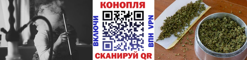 Бошки Шишки OG Kush  как найти закладки  Тогучин 